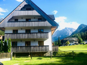 Vall’s apartment- by ski slopes, Kranjska Gora